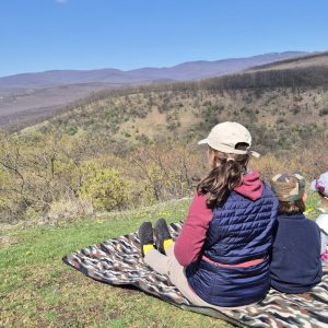 Kilátás a Mátrában