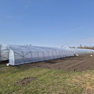 Növénytermesztő fóliasátor